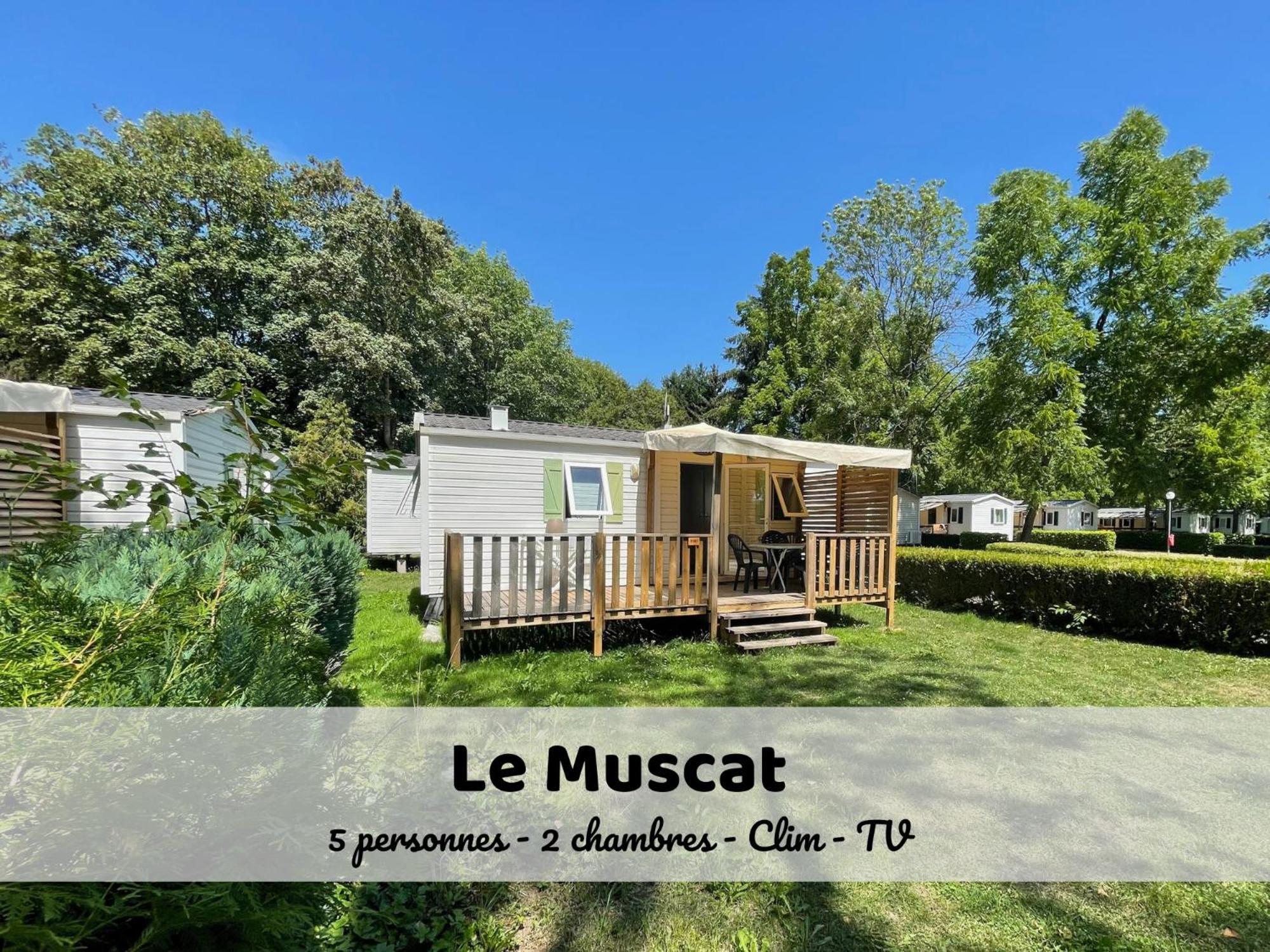 Le Muscat - Bungalow Pour 5 - Tv - Clim Boofzheim ห้อง รูปภาพ